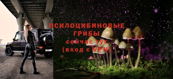 прущие крисы Каменск-Шахтинский